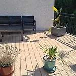 Koral Jastrzębia Góra