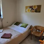 Koral 3*