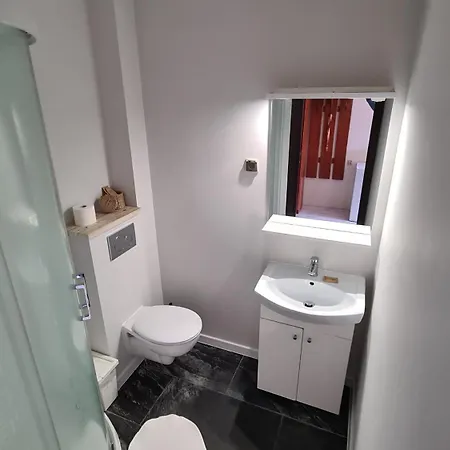 Koral Jastrzębia Góra