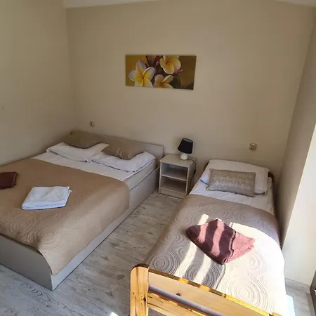 Koral Jastrzębia Góra