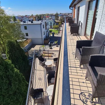 Koral Jastrzębia Góra