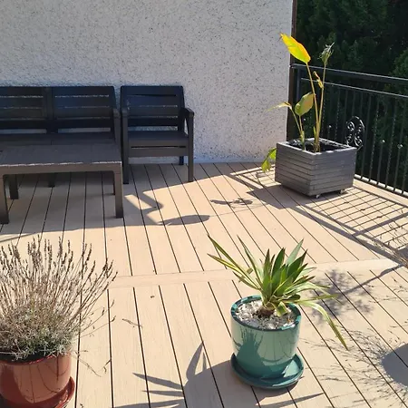 Koral Jastrzębia Góra