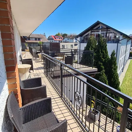 Koral Jastrzębia Góra