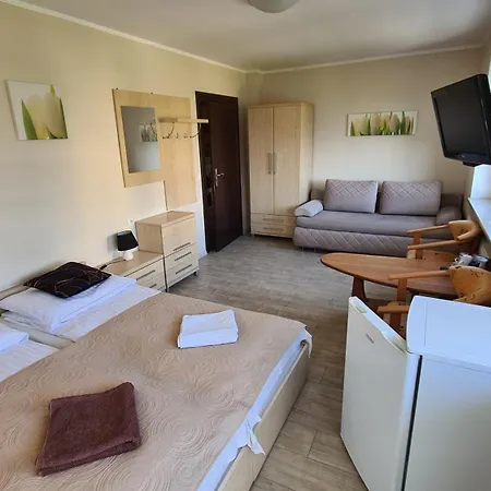 Koral Jastrzębia Góra