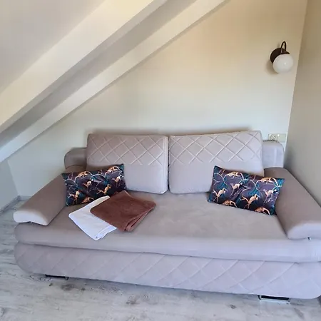 Koral Jastrzębia Góra