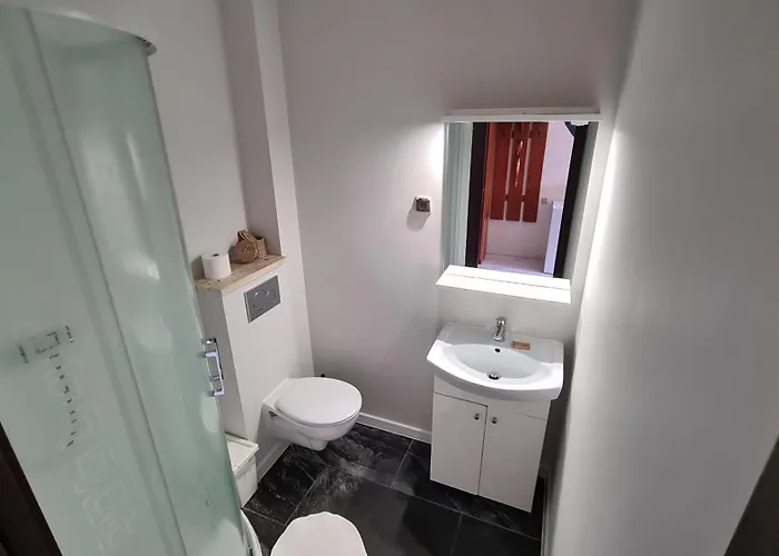 Koral Jastrzębia Góra