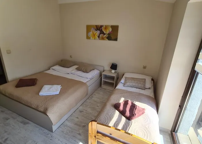 Koral Jastrzębia Góra