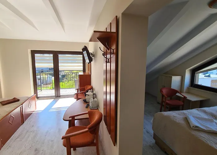 Koral Jastrzębia Góra