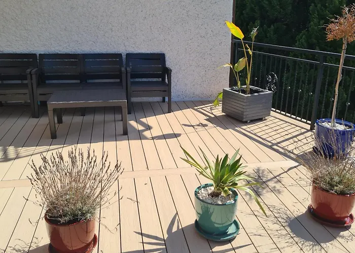 Koral Jastrzębia Góra