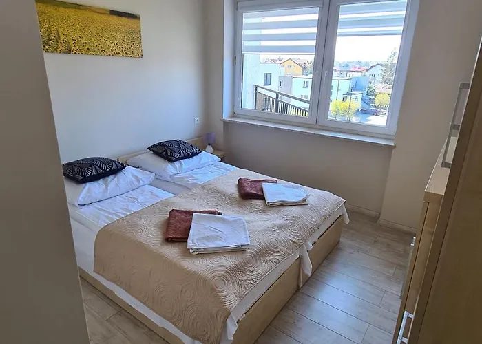 Koral Jastrzębia Góra