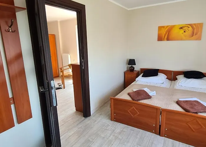 Koral Jastrzębia Góra